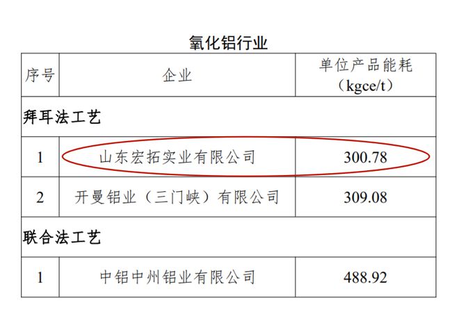 观澜亭｜“山东唯一”山东宏拓的“拜耳法+”(图1)