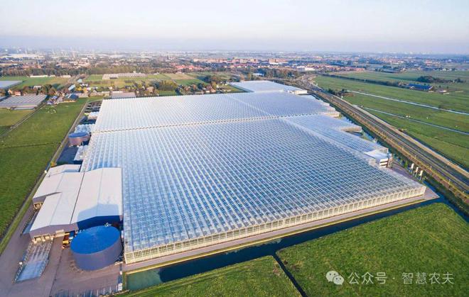 九游体育：揭秘荷兰温室农业：高度工业化背后的集约化与专业化生产奇迹(图1)