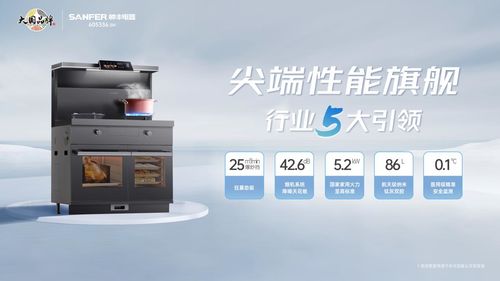 大国品牌携手权威媒体走进帅丰电器解锁新厨房主张创新密码(图6)