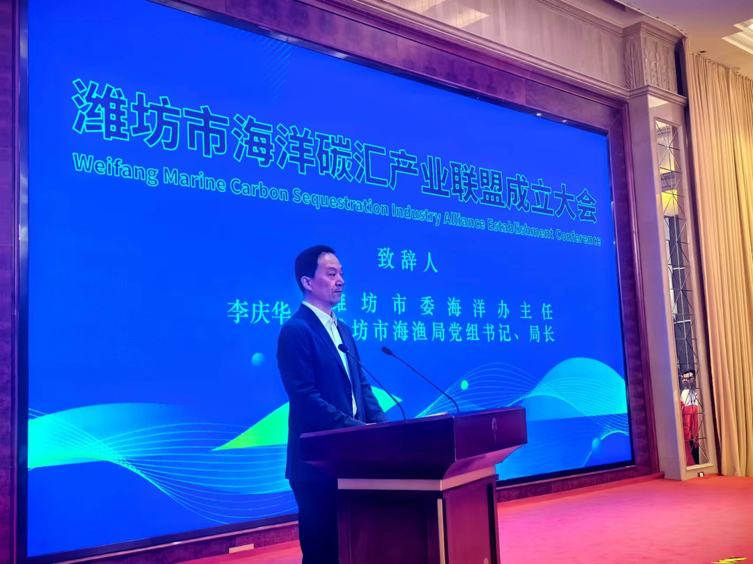 智慧科技+绿色低碳！潍坊点燃海洋产业“蓝碳”新引擎(图2)