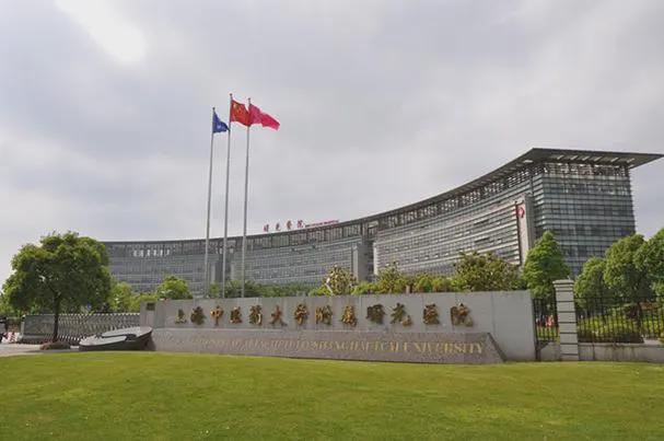 火热中！@国贸西派海上售楼处发布：理想生活的多元画卷(图29)