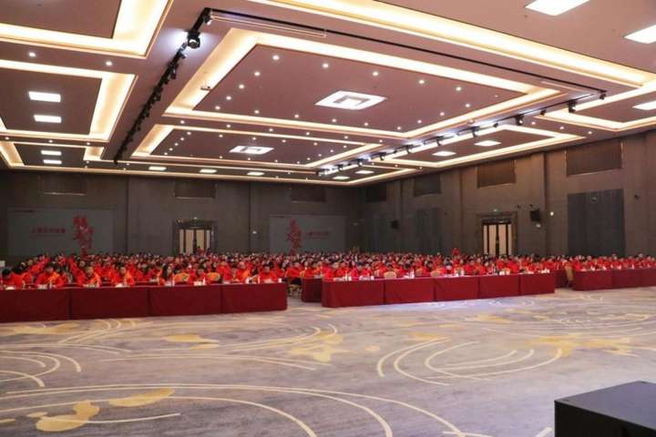 大国品牌帅丰电器扬帆2025启幕集成厨电新未来(图1)