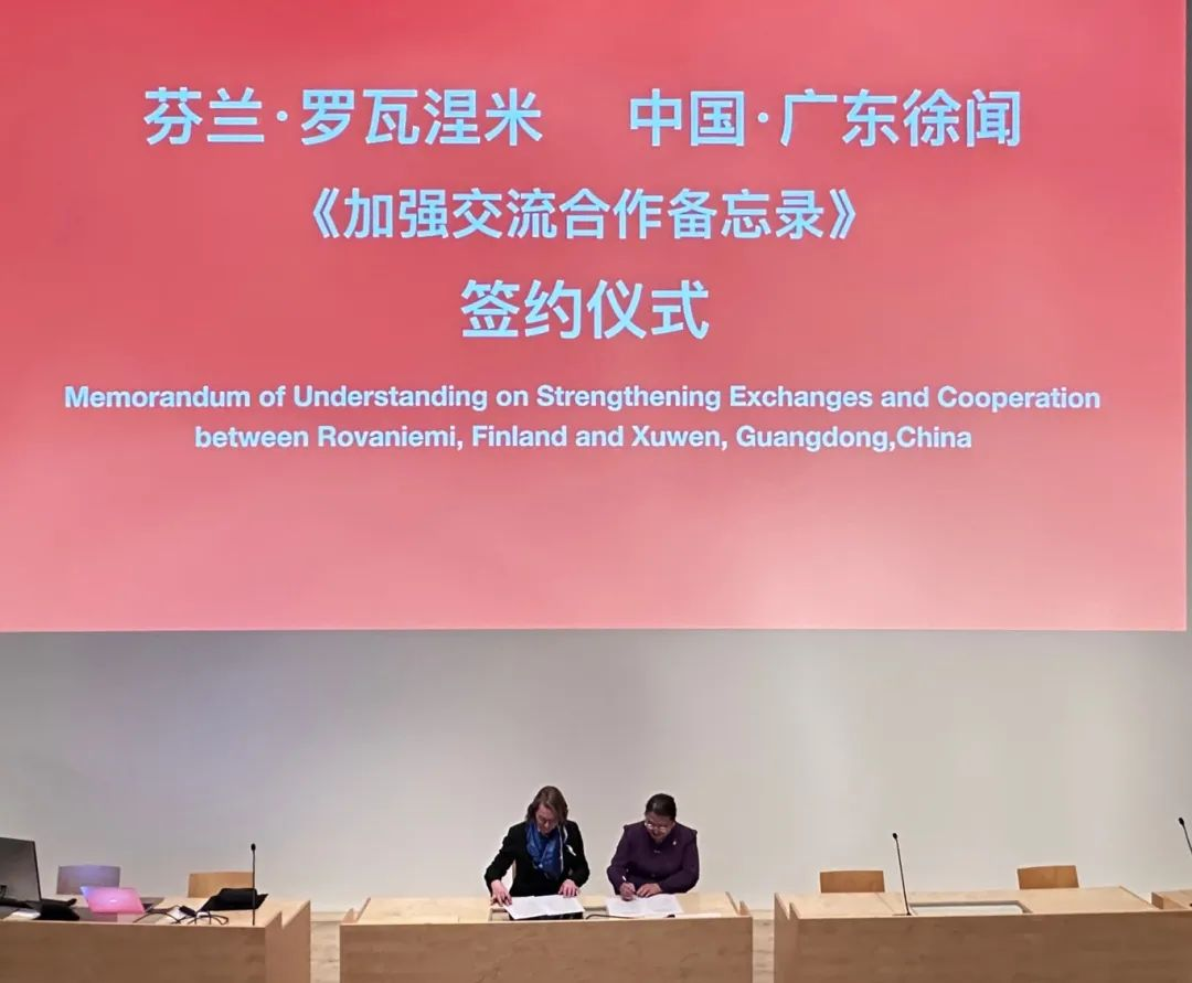 九游体育：百千万工程·徐闻实践风从南海来！徐闻打造“绿能+枢纽”双引擎桥头堡(图4)