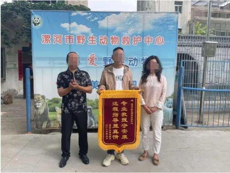 九游体育科技：男子被蝮蛇咬伤发现全市无适配血清“救命药”为何难买难生产？(图2)
